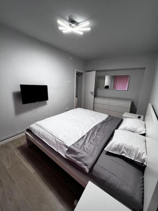 Apartament Hugo House Timișoara Zewnętrze zdjęcie